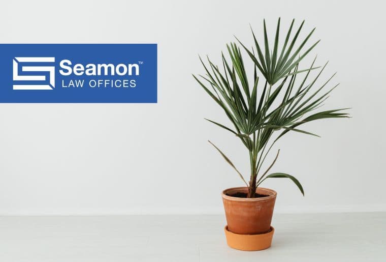 Nursing Home and Irrevocable Trusts